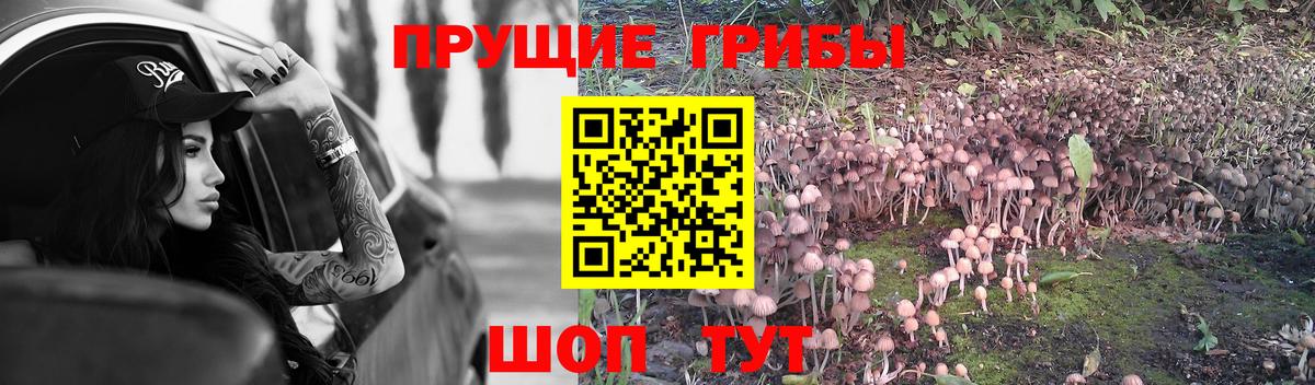 Галлюциногенные грибы мухоморы  Вход с VPN  Рубцовск 